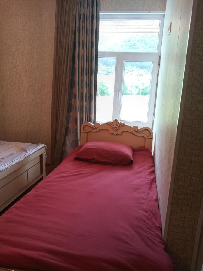Guest House Tavaduri メスティア エクステリア 写真