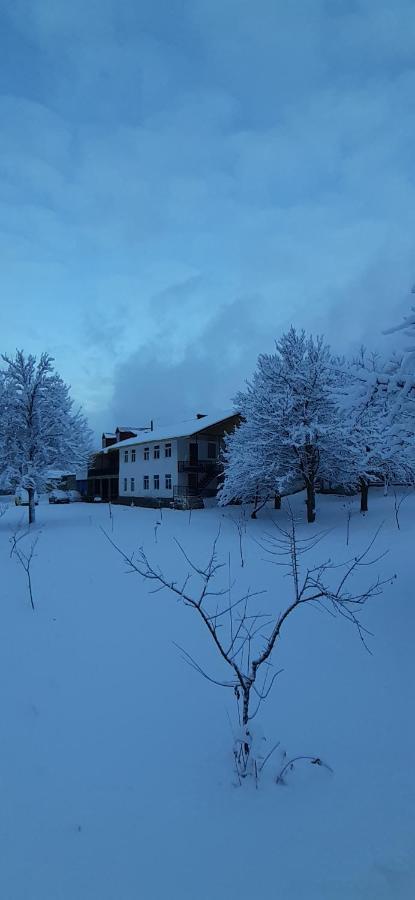 Guest House Tavaduri メスティア エクステリア 写真